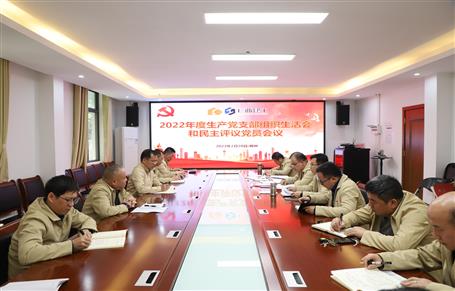 廖立波、唐峰、何勇以普通黨員身份參加所在黨支部2022年度組織生活會